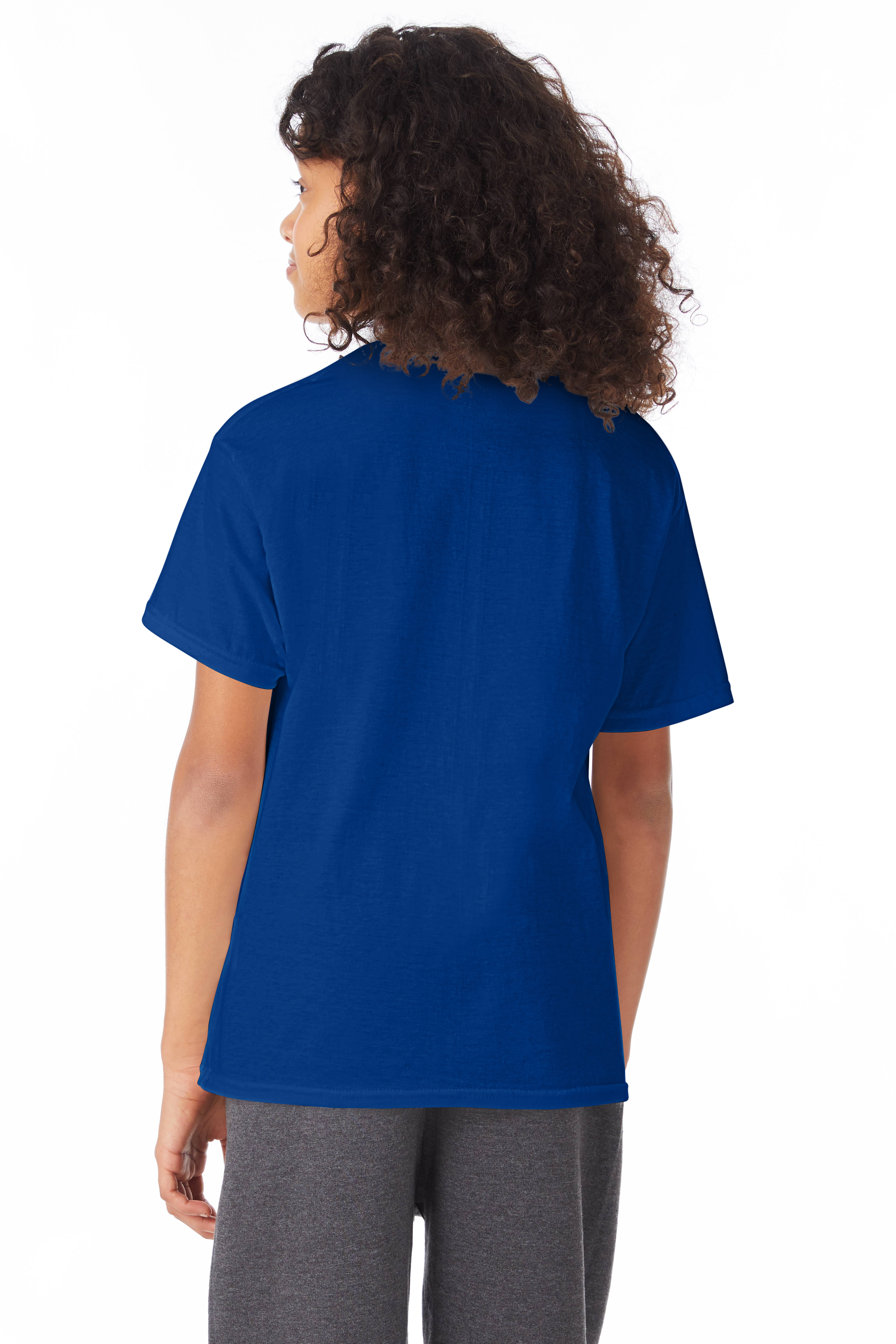 Hanes royal outlet blue t shirt