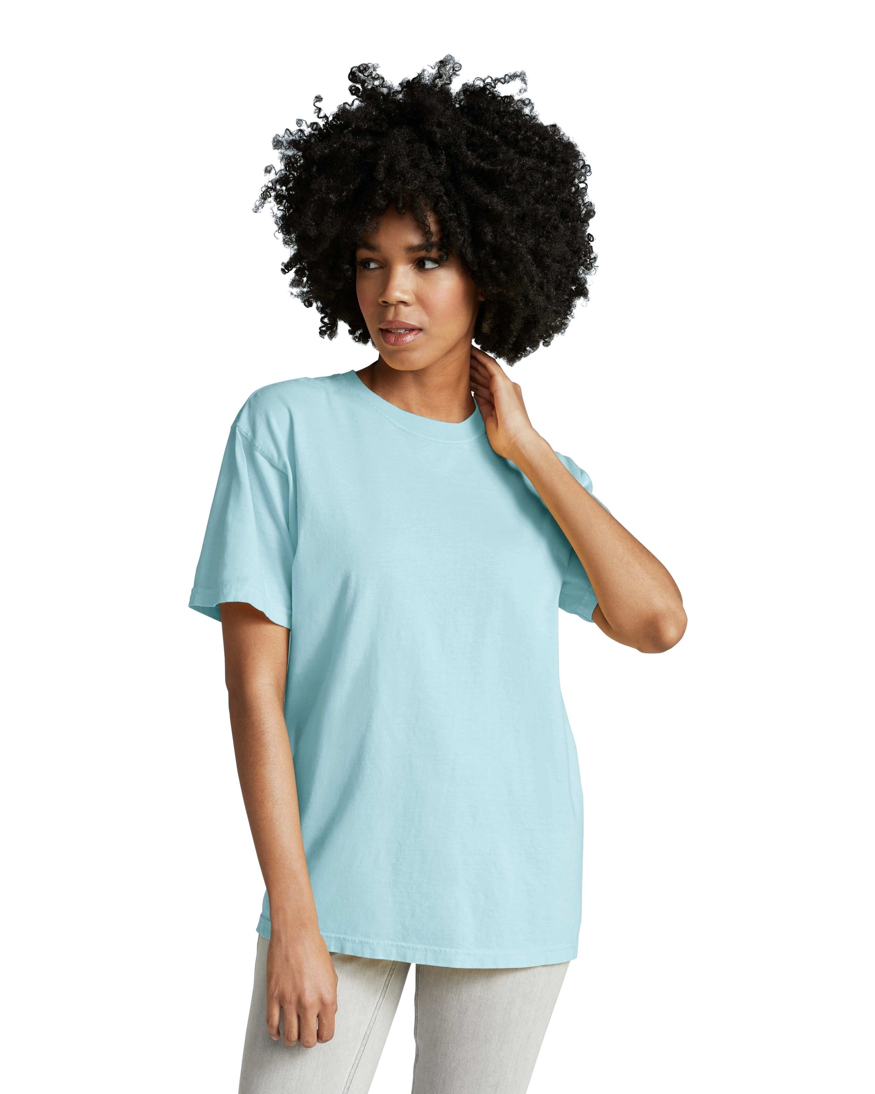 Comfort Colors 1717 Chambray Adult Heavyweight Rs T Shirt | Jiffy