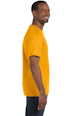 Pick a Color