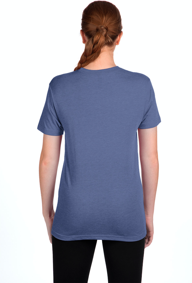 Next Level 6010 Unisex Triblend T-Shirt–Stonewash Denim (L)