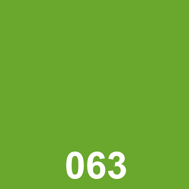 15 wide Oracal 651 Lime Tree Green 063 vinyl by-the-foot